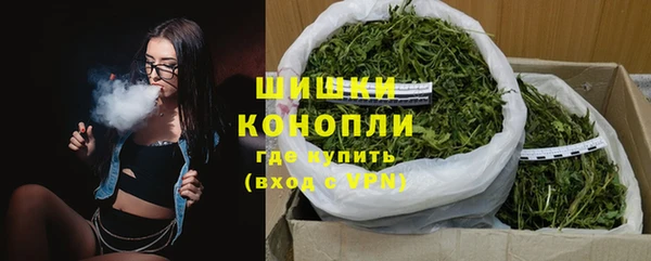 стафф Ельня