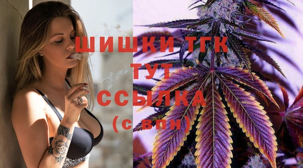 спайс Елизово
