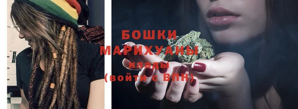 стафф Ельня
