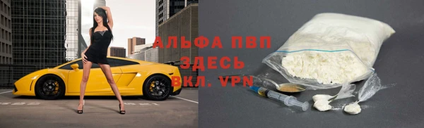 стафф Ельня