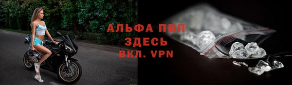 стафф Ельня