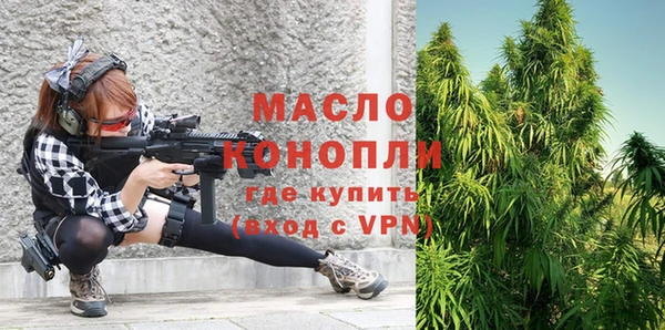 стафф Ельня