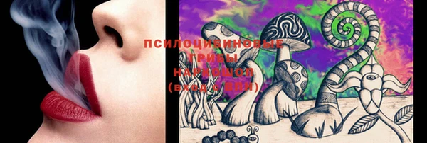 спайс Елизово