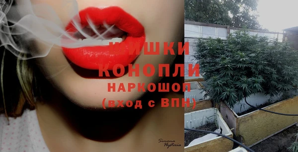 спайс Елизово